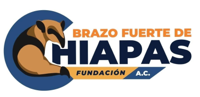 Plataforma Brazo Fuerte de Chiapas